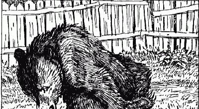 Басня «Зеркало и обезьяна»: анализ произведения Тихонько медведя толк ногой
