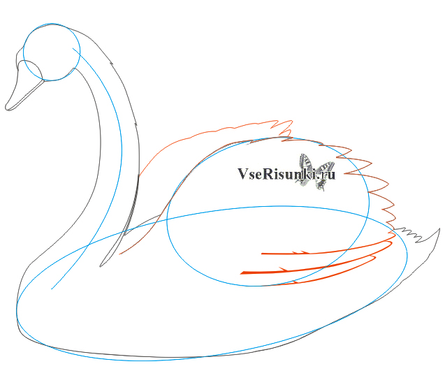 Как правильно нарисовать лебедя