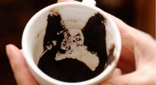 コーヒー粕の占い：意味と解釈