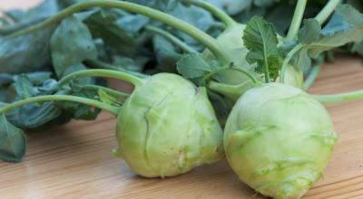 Recipes with kohlrabi cabbage: holiday, dietary and to diversify your diet Kohlrabi salad with apple recipe